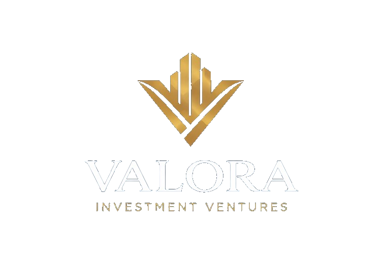 Valora Investment Ventures logo